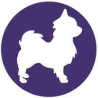 Oslo Hundetrener